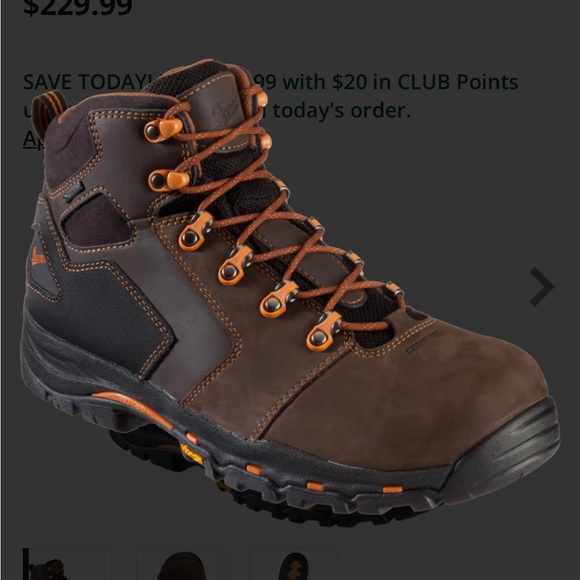 Danner Shoes Danner Vicious Goretex Nonmetallic Safety Toe Work